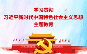 学习贯彻席大大新时代中国特色社会主义思想主题教育